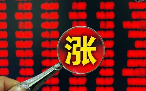恒指成份股佔百分比